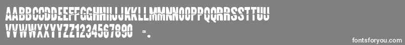 LandSpeedRecord Font – White Fonts on Gray Background