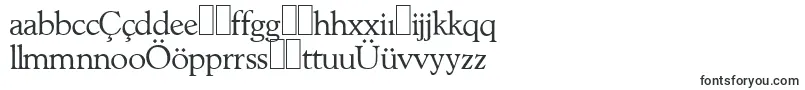 L890RomanRegular Font – Azerbaijani Fonts