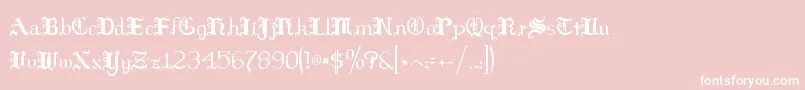 HildaSonnenschein Font – White Fonts on Pink Background