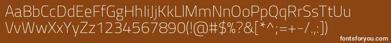 フォントTitilliumwebExtralight – 茶色の背景に白い文字