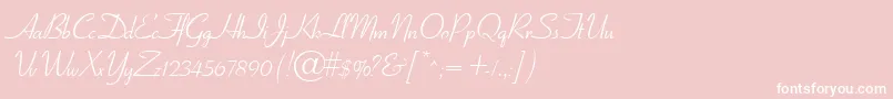 GeElegantscript Font – White Fonts on Pink Background