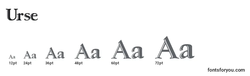 Urse Font Sizes