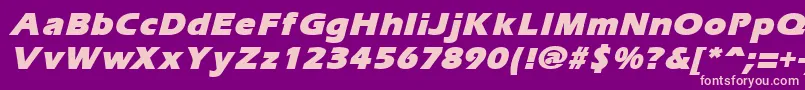 ErgoemildblackItalic Font – Pink Fonts on Purple Background