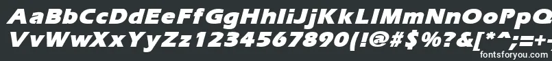 ErgoemildblackItalic Font – White Fonts