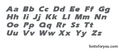 Обзор шрифта ErgoemildblackItalic