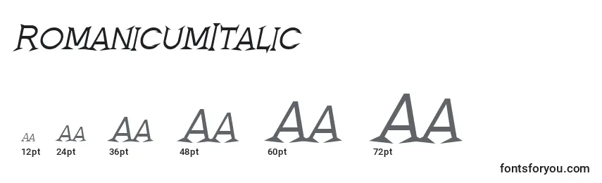 Размеры шрифта RomanicumItalic