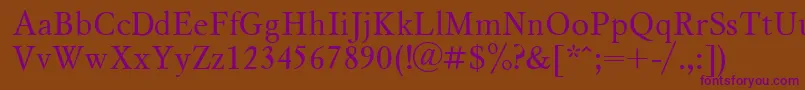 Msl1 Font – Purple Fonts on Brown Background