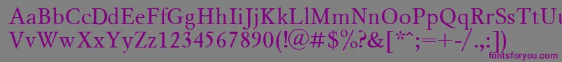 Czcionka Msl1 – fioletowe czcionki na szarym tle