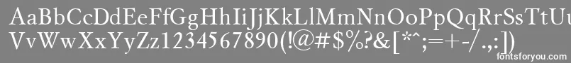 フォントMsl1 – 灰色の背景に白い文字