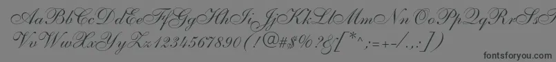 Shelley Font – Black Fonts on Gray Background