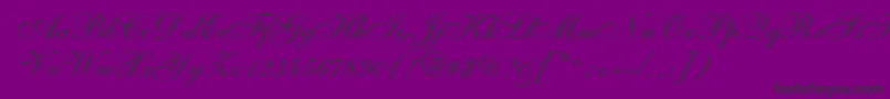 フォントShelley – 紫の背景に黒い文字
