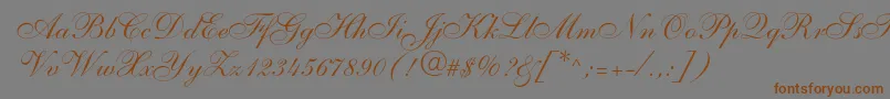 Shelley Font – Brown Fonts on Gray Background
