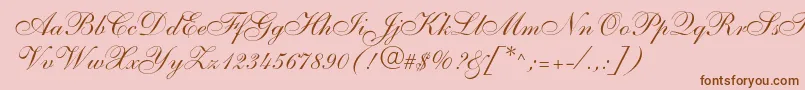 Shelley Font – Brown Fonts on Pink Background