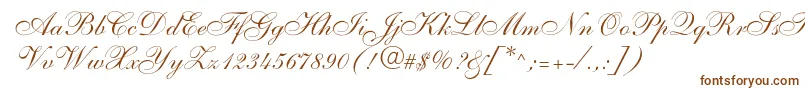 Shelley Font – Brown Fonts on White Background