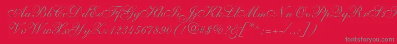 Shelley Font – Gray Fonts on Red Background