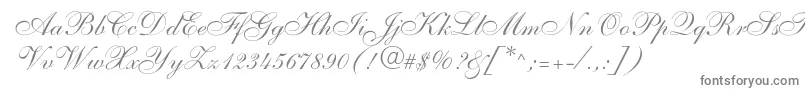 Shelley Font – Gray Fonts on White Background