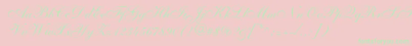 Shelley Font – Green Fonts on Pink Background
