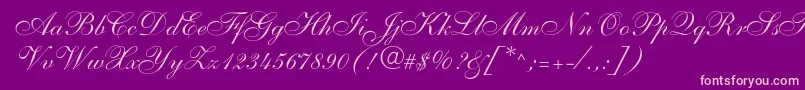 Shelley Font – Pink Fonts on Purple Background