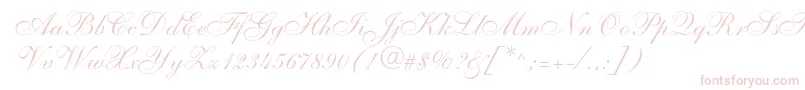 Shelley Font – Pink Fonts on White Background