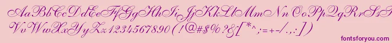 Shelley Font – Purple Fonts on Pink Background
