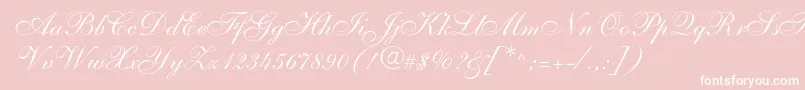 Shelley Font – White Fonts on Pink Background