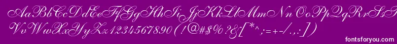 Shelley Font – White Fonts on Purple Background