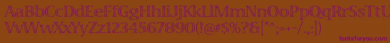 VivastdLight Font – Purple Fonts on Brown Background