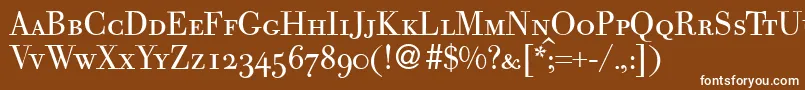 BodocapsdbNormal Font – White Fonts on Brown Background