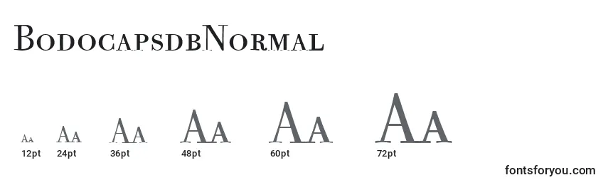 BodocapsdbNormal Font Sizes
