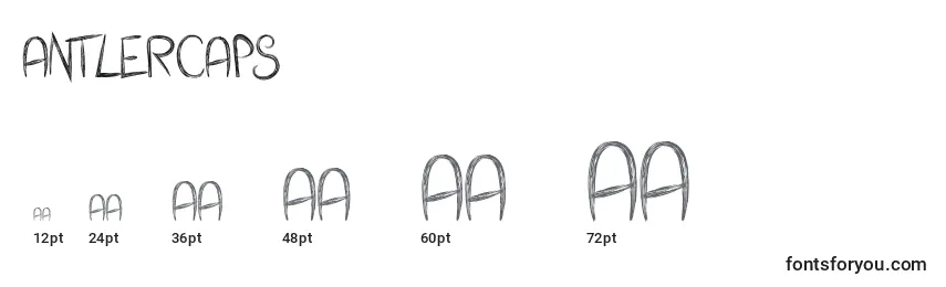 Размеры шрифта AntlerCaps