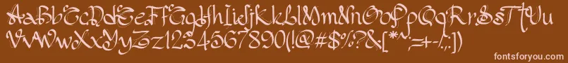 PwGothicStyle Font – Pink Fonts on Brown Background