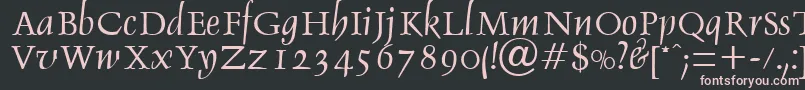 DebdenRegularDb Font – Pink Fonts on Black Background