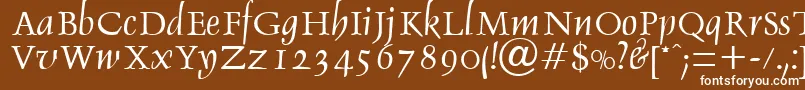 Шрифт DebdenRegularDb – белые шрифты на коричневом фоне