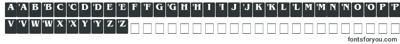 DropcapsSerif-Schriftart – Schriftarten, die mit D beginnen