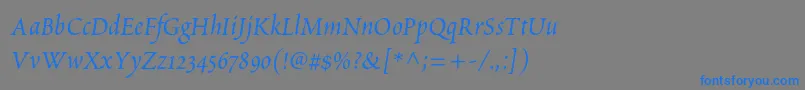 フォントPoeticastd – 灰色の背景に青い文字