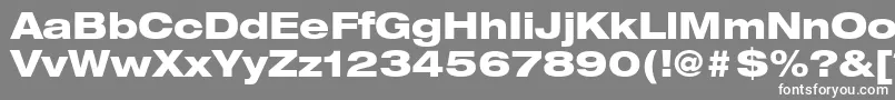 ContextRepriseBlackexpSsiNormal Font – White Fonts on Gray Background