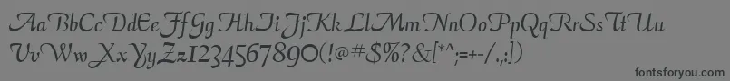 AriaScriptSsi Font – Black Fonts on Gray Background