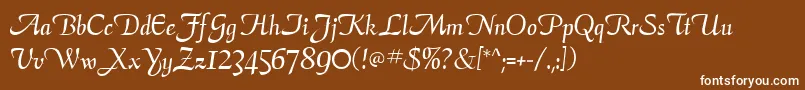 フォントAriaScriptSsi – 茶色の背景に白い文字