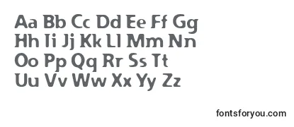 PfplazmBold Font
