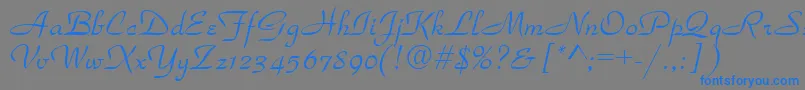 TorhokPlain Font – Blue Fonts on Gray Background