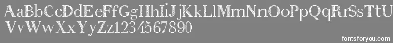 フォントAnakatrinatan – 灰色の背景に白い文字