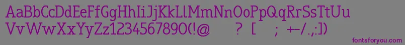 Шрифт TrueboSerif – фиолетовые шрифты на сером фоне