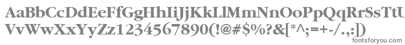 Шрифт PfgaramondtextBold – серые шрифты на белом фоне