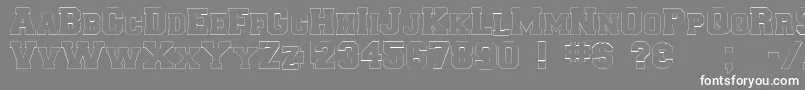 Collegiateborderflf Font – White Fonts on Gray Background