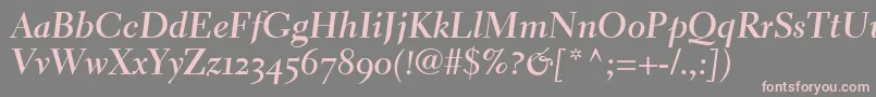 ElectraLhBoldCursiveOldstyleFigures Font – Pink Fonts on Gray Background