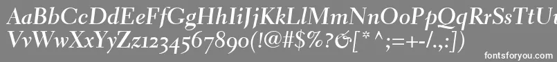 ElectraLhBoldCursiveOldstyleFigures Font – White Fonts on Gray Background