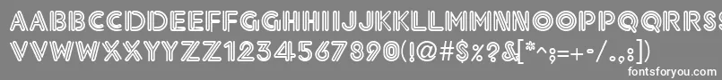 フォントNeonthickRegular – 灰色の背景に白い文字