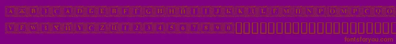 DsinitialsNormal-Schriftart – Braune Schriften auf violettem Hintergrund