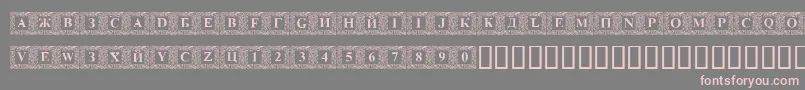 DsinitialsNormal Font – Pink Fonts on Gray Background