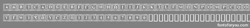 フォントDsinitialsNormal – 灰色の背景に白い文字